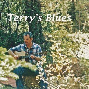 Download track Terry's Blues Terry BrumleyMark Lucas