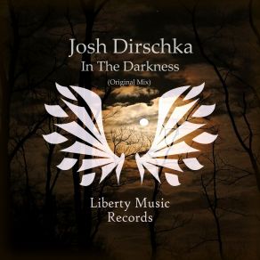 Download track In The Darkness (Martins White Remix) Josh Dirschka