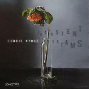 Download track Transient Dreams Robbie Ayoub