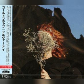 Download track Anymore (Joe Goddard Remix) Goldfrapp