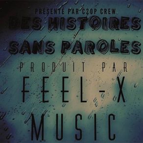 Download track Ma Vision Des Choses Feel-X Music