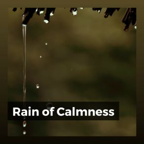 Download track Gentle Rains Recording Nature