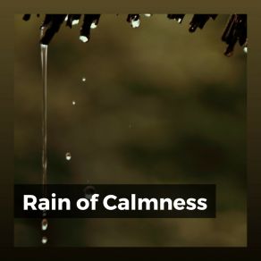 Download track Rain For Meditation, Pt. 15 Recording Nature