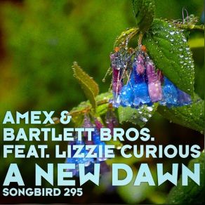 Download track A New Dawn Amex Bartlett Bros