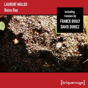 Download track Rainy Day (David Duriez Floating Tracks Remix) Laurent MaldoDavid Duriez