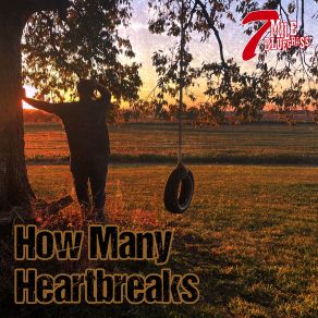 Download track How Many Heartbreaks 7 Mile Bluegrass