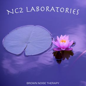 Download track Anchor (Brown Noise 70 Hz HP) NC2 LABORATORIES