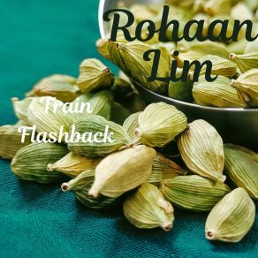 Download track Noise Plain Rohaan Lim