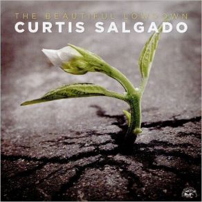 Download track Simple Enough Curtis Salgado