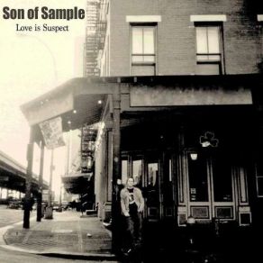 Download track Everybody Is Somebody's Fool Son Of Sample