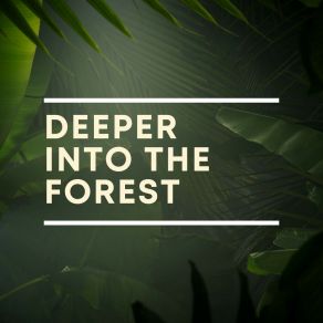 Download track Healthy And Fresh Nature Ambience