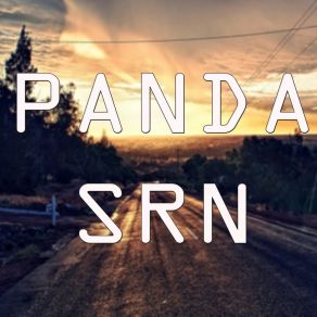 Download track Solo Quiero Estar Contigo Panda Srn