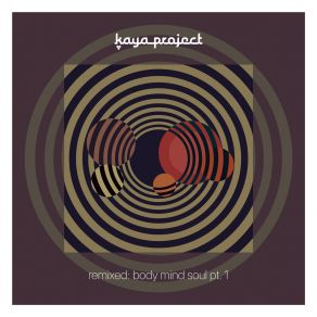 Download track Souls Entwined (Globular Remix) Kaya ProjectGlobular, Pooja Tiwari