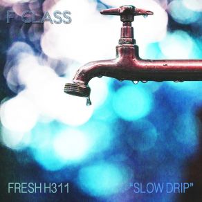 Download track Slow Drip FR3SH H311