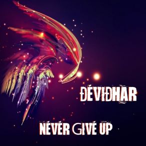 Download track Never Give Up (Radio Mix) DevidHar