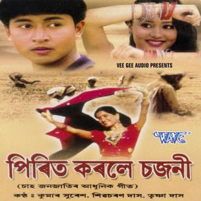 Download track Chahgachher Majhe Majhe Trishna Das