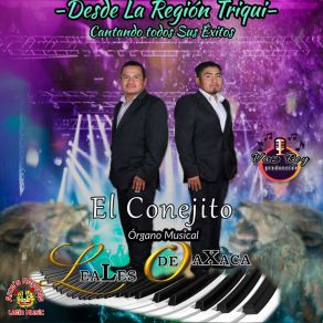 Download track Aunque Te Acuerdes De Mi Organo Musical Leales De Oaxaca