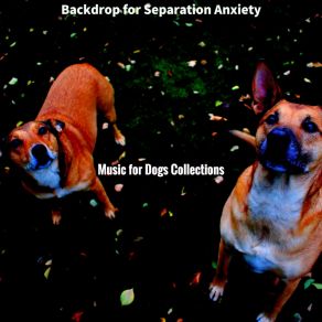 Download track Festive Ambience For Separation Anxiety Music For Dogs Collections