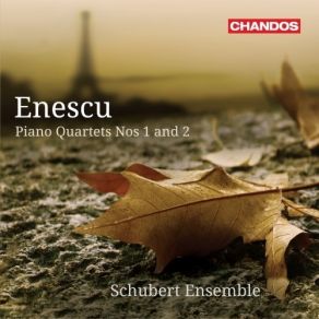 Download track 01 - Quartet No. 1 In D Major, Op. 16 - I. Allegro Moderato George Enescu