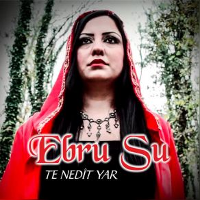 Download track Abdulbari İpek Ebru Su