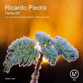 Download track Herbs (Franco Tejedor Remix) Ricardo PiedraFranco Tejedor