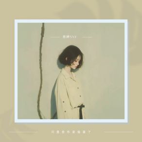 Download track 只是自作坚强罢了 思婷Sny