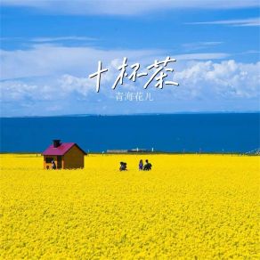 Download track 耍快手 (洪云版) 青海花儿