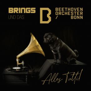 Download track Mir Singe Alaaf Brings, Orchester Der Beethovenhalle Bonn