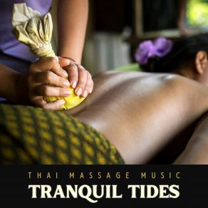 Download track Dreamy Relaxation Oasis Thai Massage Music