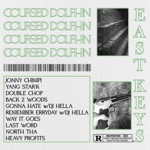 Download track NORTH THA COURSED DOLPHIN