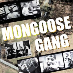 Download track The Hippies Mongoose Gang