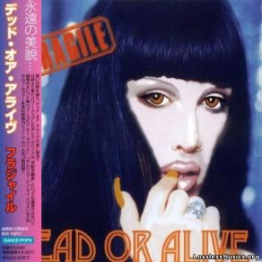 Download track Blue Christmas 2000 Dead Or Alive