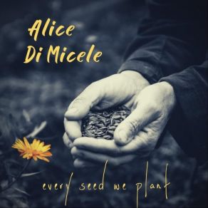 Download track Sweet Elaine Alice Di Micele