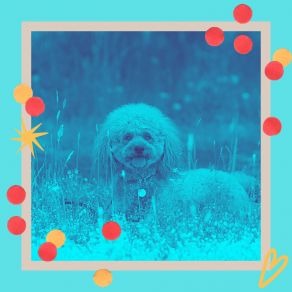 Download track Friendly Ambience For Well Behaved Dogs Doggy Naptime Vibes