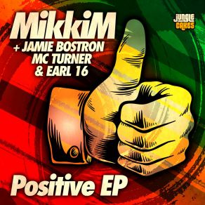 Download track Positive Vibrations (Original Mix) MikkimMc Turner