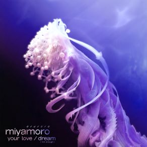 Download track Dream (Not Enough) MIYAMORO