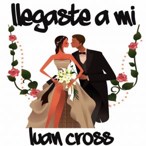 Download track Llegaste A Mi Luan Cross