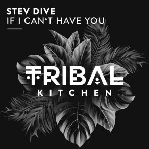 Download track If I Can't Have You (Extended Mix) Stev Dive