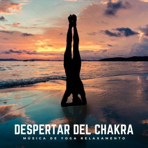 Download track Conexión Árbol Sagrado Música De Yoga Relaxamento