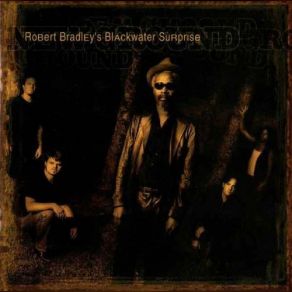 Download track Feel The Fire Robert Bradley'S Blackwater Surprise