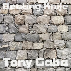 Download track I Witness Tony Gaba