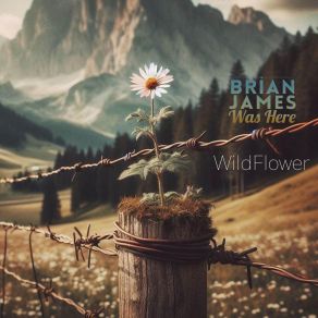 Download track Who Are You Brian James Was Here