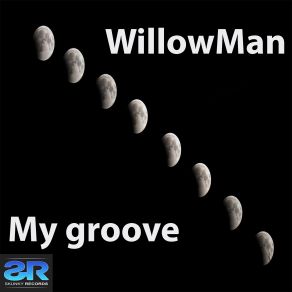 Download track My Groove WillowMan