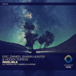 Download track Indelible Eric Zimmer, Hidden Tigress, Shawn Hunter