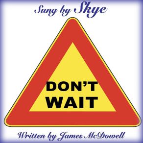 Download track Don't Wait Skye