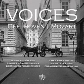 Download track Piano Concerto In D Major, Op. 61a: II. Larghetto Thomas Rosner, Beethoven Philharmonie