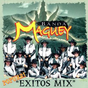 Download track El Joven Viejo Banda Maguey