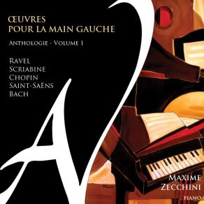 Download track 05. Etude No. 5 In D-Flat Major D’apres L'Etude, Op. 10 No. 3 (Tr. By Leopold Godowsky) Maxime Zecchini