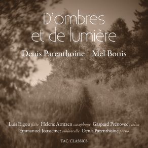 Download track En Chemin Denis Parenthoine