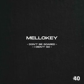 Download track Don’t Be Scared MelloKey